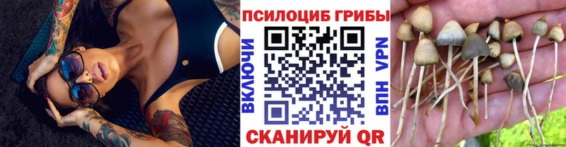 omg ссылки  Углегорск  Псилоцибиновые грибы мицелий 